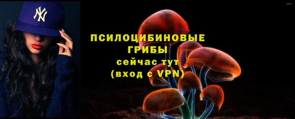 mdpv Алзамай