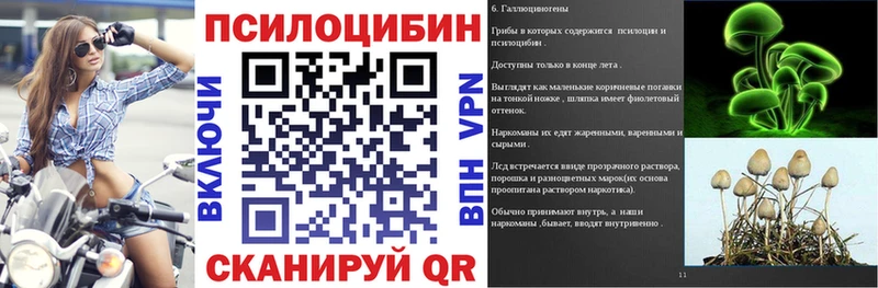Псилоцибиновые грибы MAGIC MUSHROOMS  Купить закладки  Заозёрск 